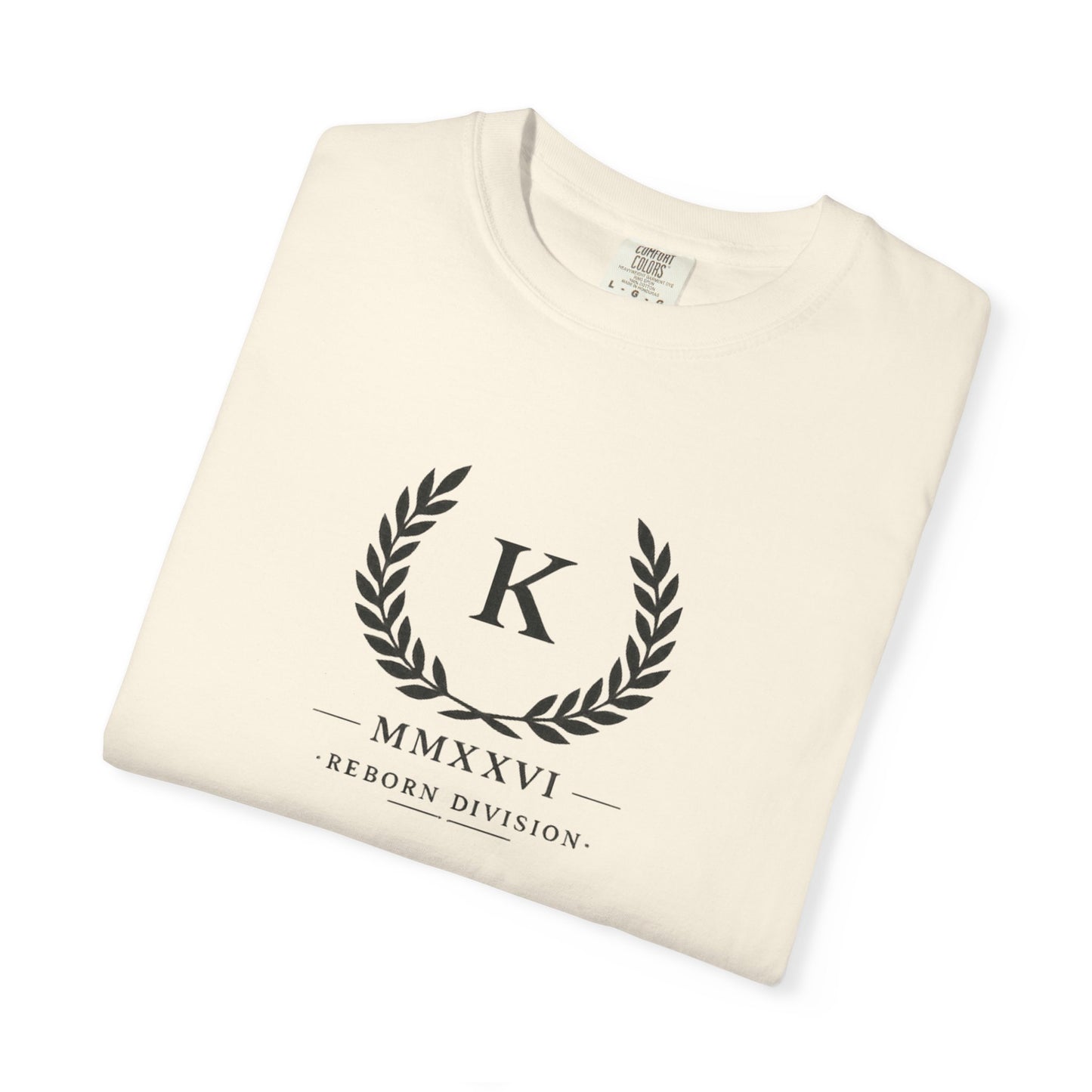 REBORN — Heavyweight Oversized Tee